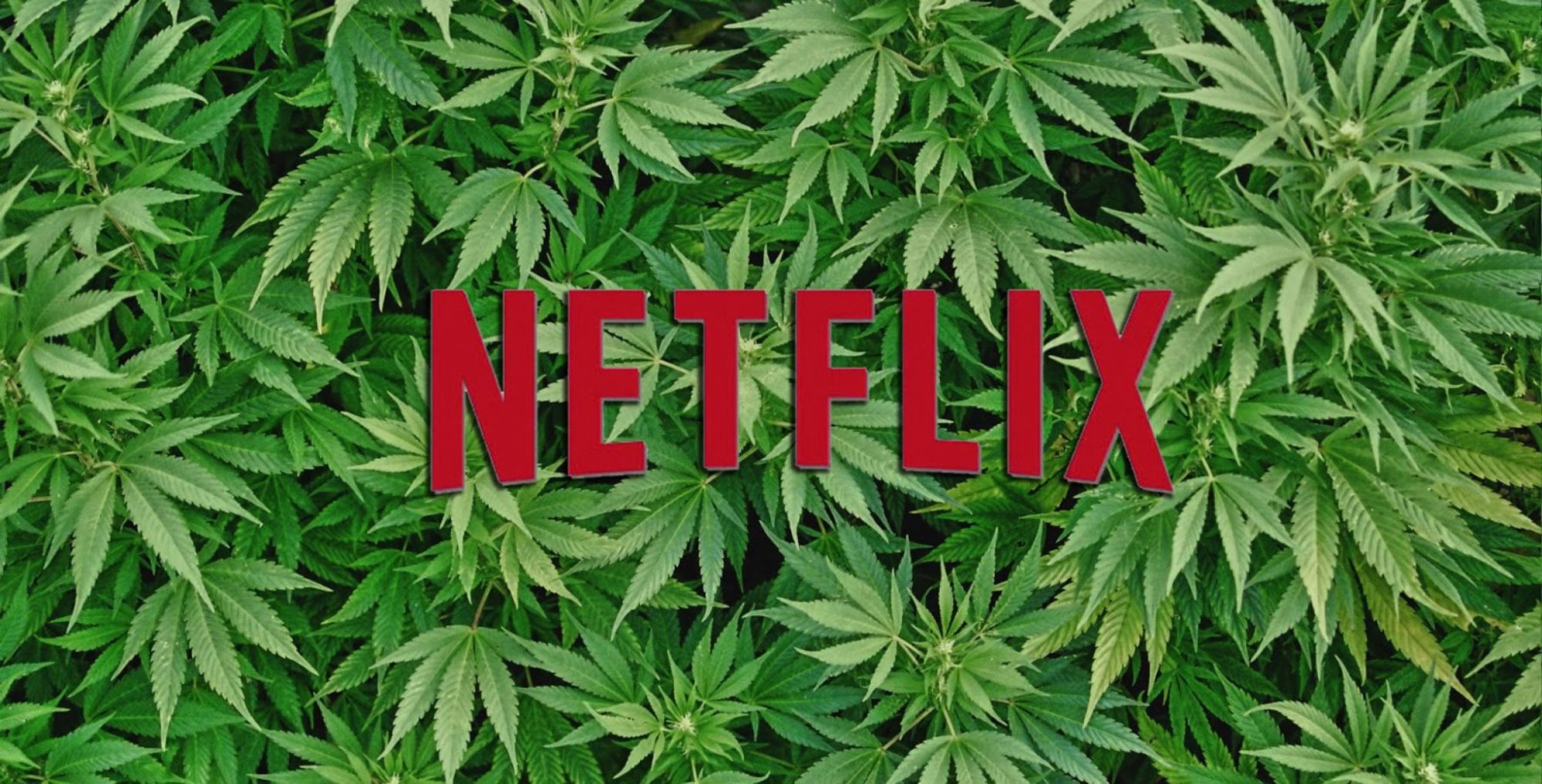 Quand Netflix vend du cannabis pour le lancement de la série Disjointed