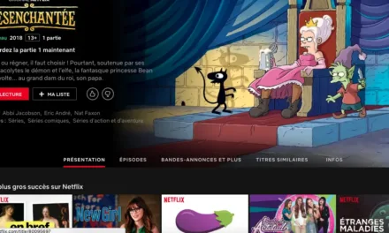 Vous ne pouvez désormais plus lire ni poster de critiques sur le catalogue Netflix