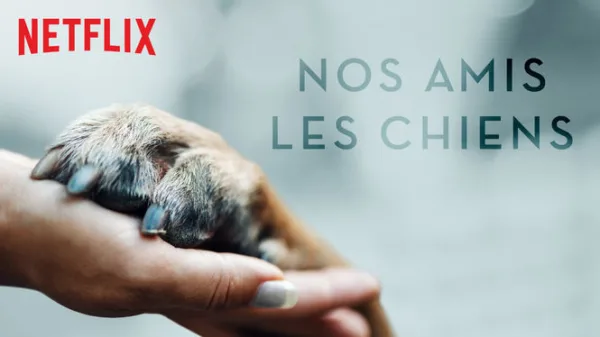 Nos amis les chiens