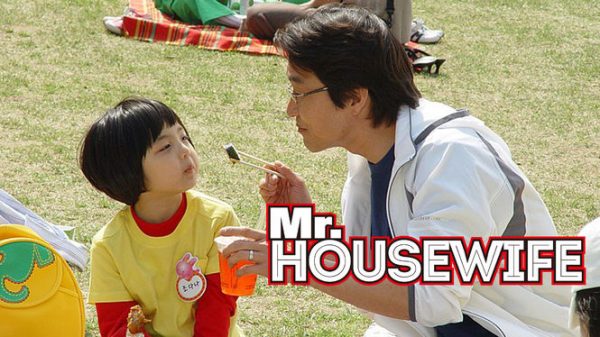 Mr. Housewife