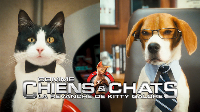 Comme chiens et chats : la revanche de Kitty Galore