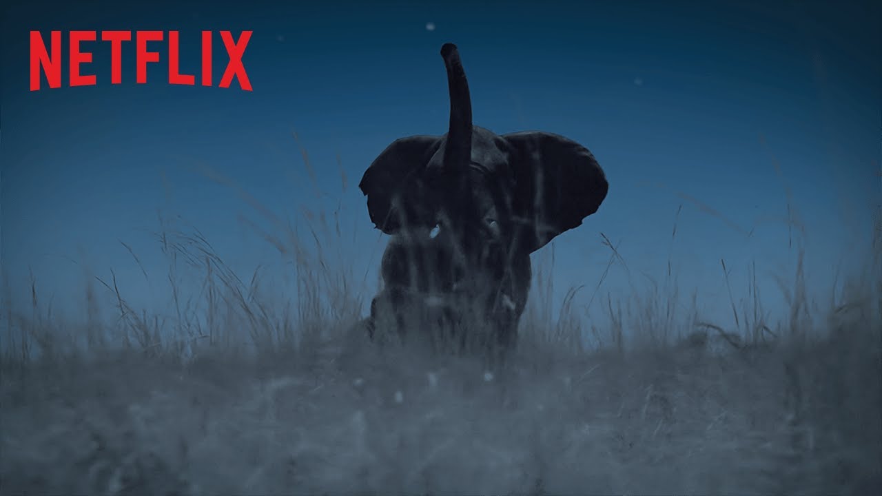 La Terre, La Nuit | Bande-annonce VF | Netflix France