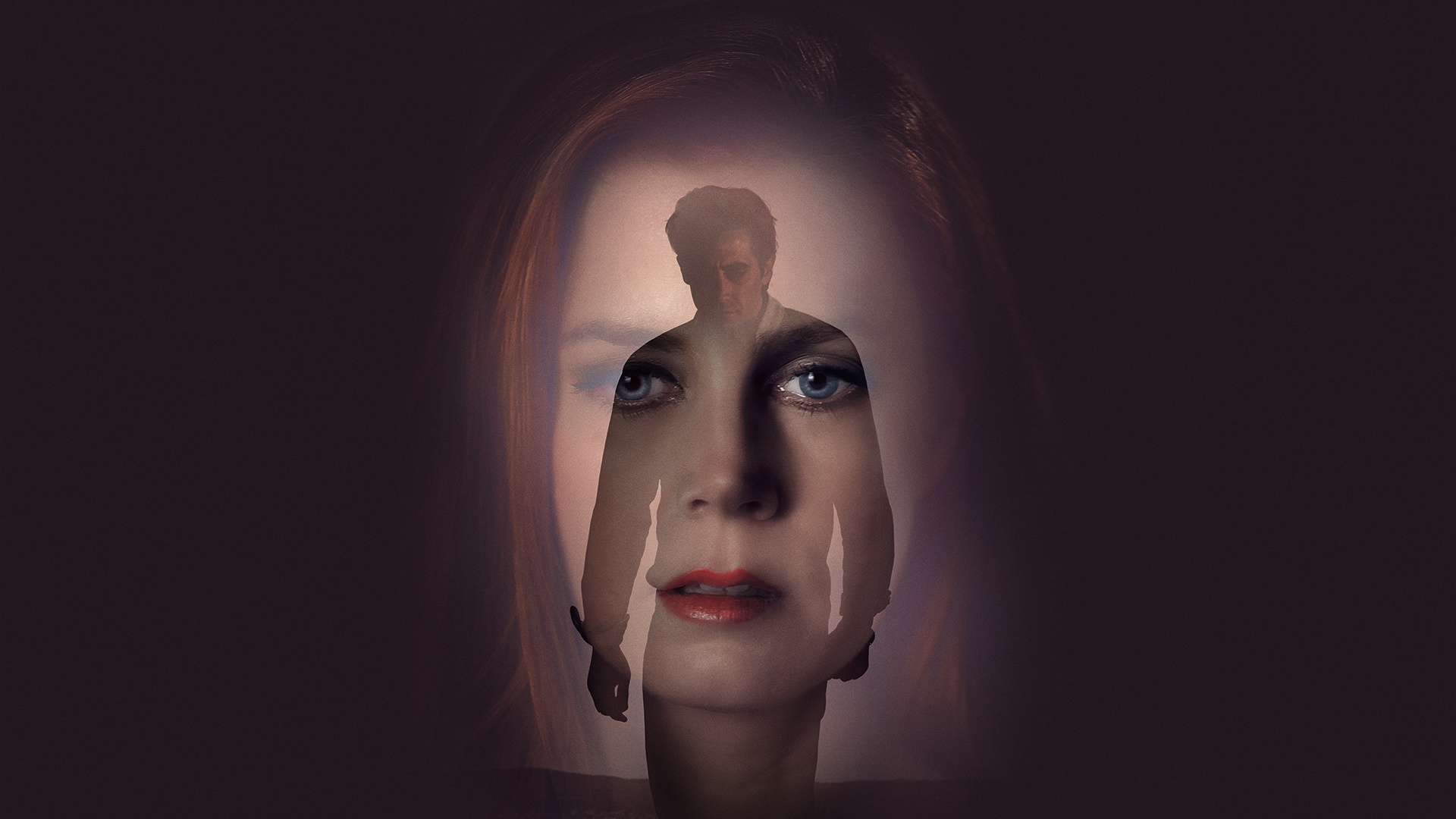 nocturnal animals - Le meilleur des films Netflix en 10 titres