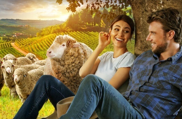 un accord parfait - Un accord parfait : une comédie romantique portée par Victoria Justice et Adam Demos (Sex/Life) à découvrir dès à présent sur Netflix