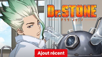 Dr. STONE - Série animée (Saison 1)