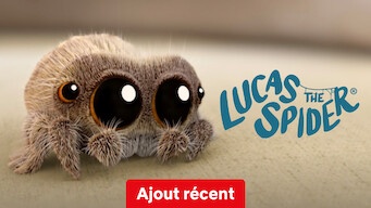 Lucas l'araignée - Série (Saison 1)