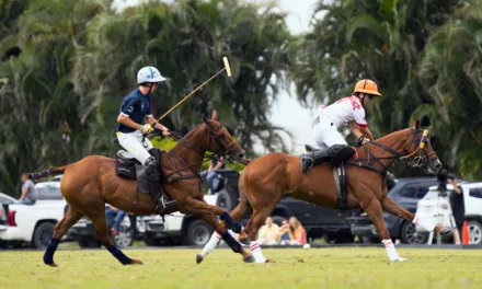 Polo : un documentaire sportif royal à découvrir sur Netflix en décembre