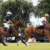 Polo : un documentaire sportif royal à découvrir sur Netflix en décembre