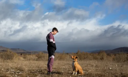 Chien de la casse débarque sur Netflix : le film qui a révélé Raphaël Quenard enfin en streaming